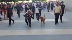 В Ереване стычки между протестующими и силовиками: 12 июня полиция разогнала толпу светошумовыми гранатами