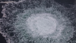 Германия выдала ордера на арест граждан Украины по делу о подрыве "Северного потока": что известно