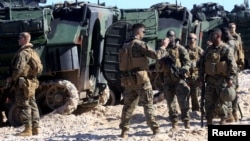 Латвийские военные принимают участие в учениях НАТО недалеко от Вентспилса, июнь 2017 года