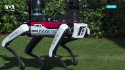 "Не гладить". Резиденцию Трампа начали охранять роботы-собаки