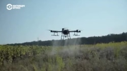 На агроэксперта в Казахстане завели административное дело за публикацию про дроны